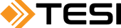 Tesi - Work Smarter